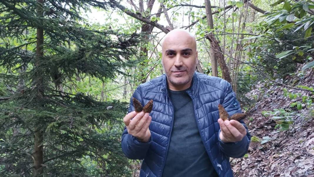 Ormanda toplayıp ton ton para kazanıyor! Sıfır sermayeyle... Kilosu 2 bin 500 TL 17